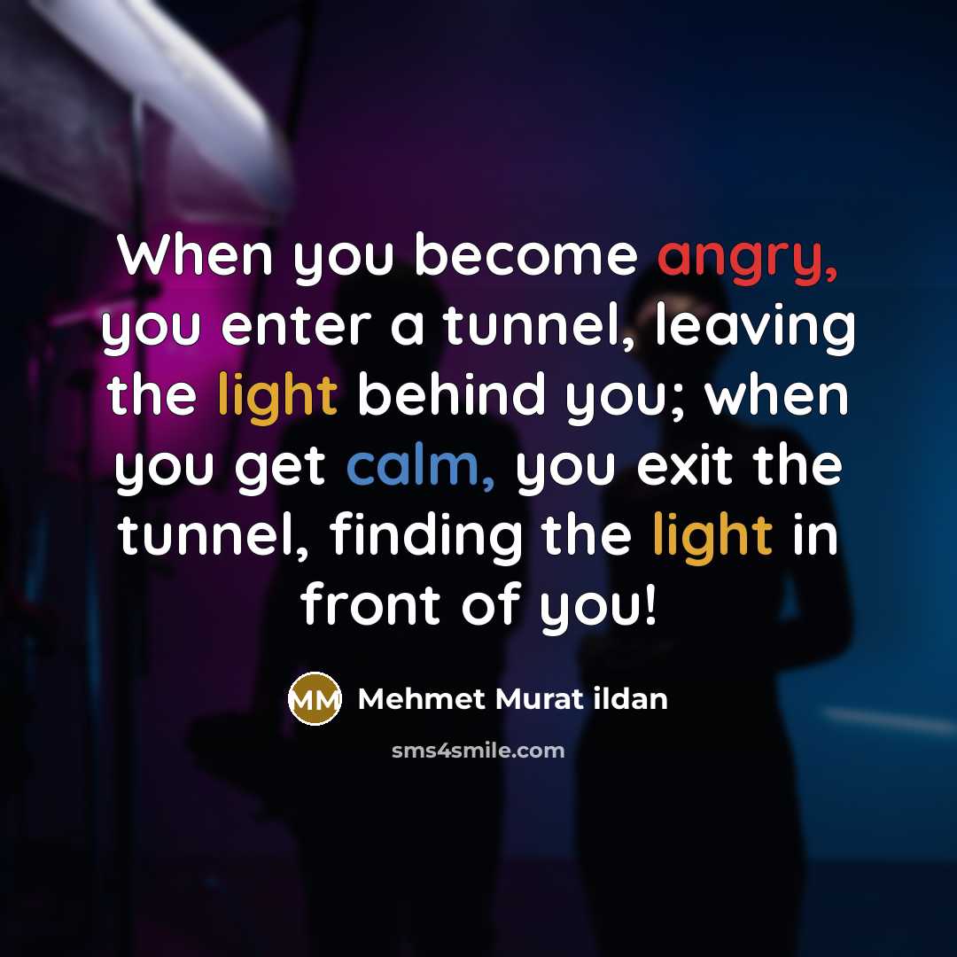 “When you become angry, you enter a tunnel, leaving the light behind you; when you get calm, you exit the tunnel, finding the light in front of you!” quote by Mehmet Murat Ildan