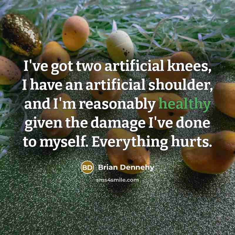 “I've got two artificial knees, I have an artificial shoulder, and I'm reasonably healthy given the damage I've done to myself. Everything hurts.” quote by Brian Dennehy