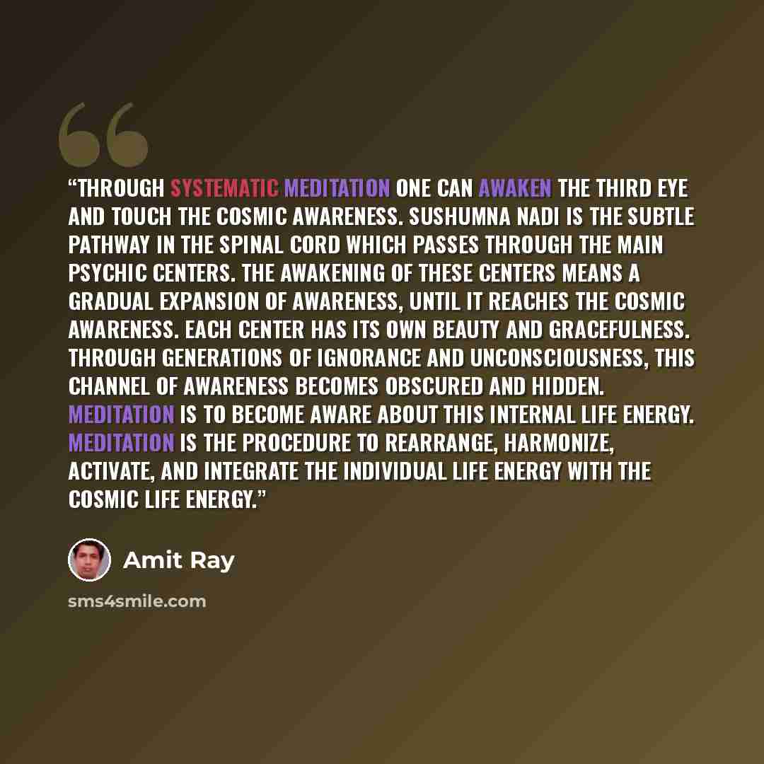 “Through systematic meditation one can awaken the third eye and touch the cosmic awareness. Sushumna nadi is the subtle pathway in the spinal cord which passes through the main psychic centers. The awakening of these centers means a gradual expansion of awareness, until it reaches the cosmic…” quote by Amit Ray