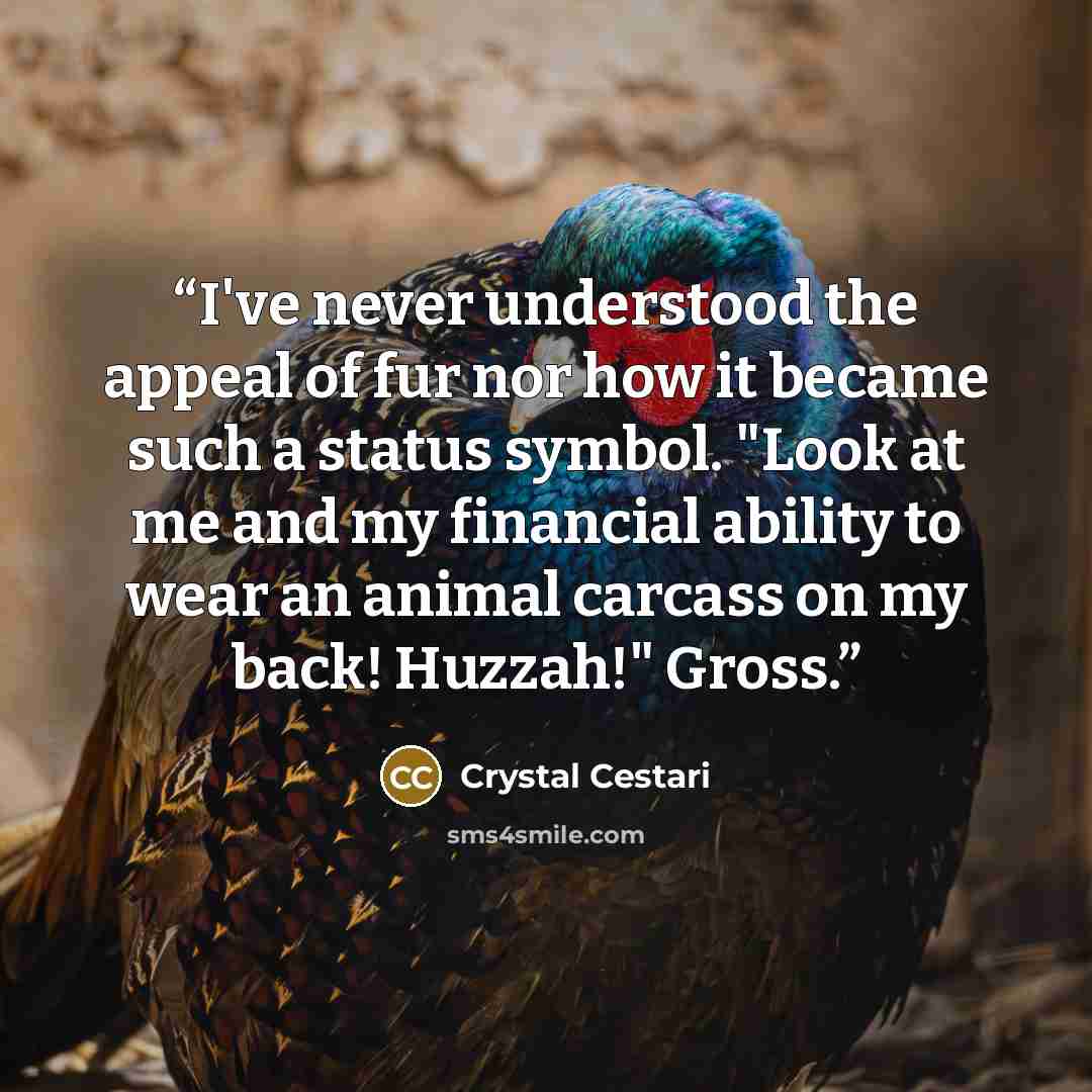 “I've never understood the appeal of fur nor how it became such a status symbol. "Look at me and my financial ability to wear an animal carcass on my back! Huzzah!" Gross.” quote by Crystal Cestari