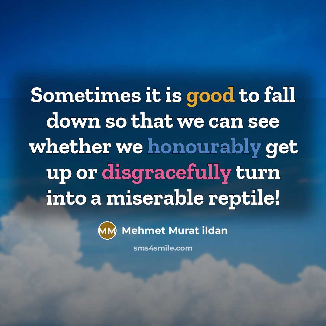 “Sometimes it is good to fall down so that we can see whether we honourably get up or disgracefully turn into a miserable reptile!” quote by Mehmet Murat Ildan