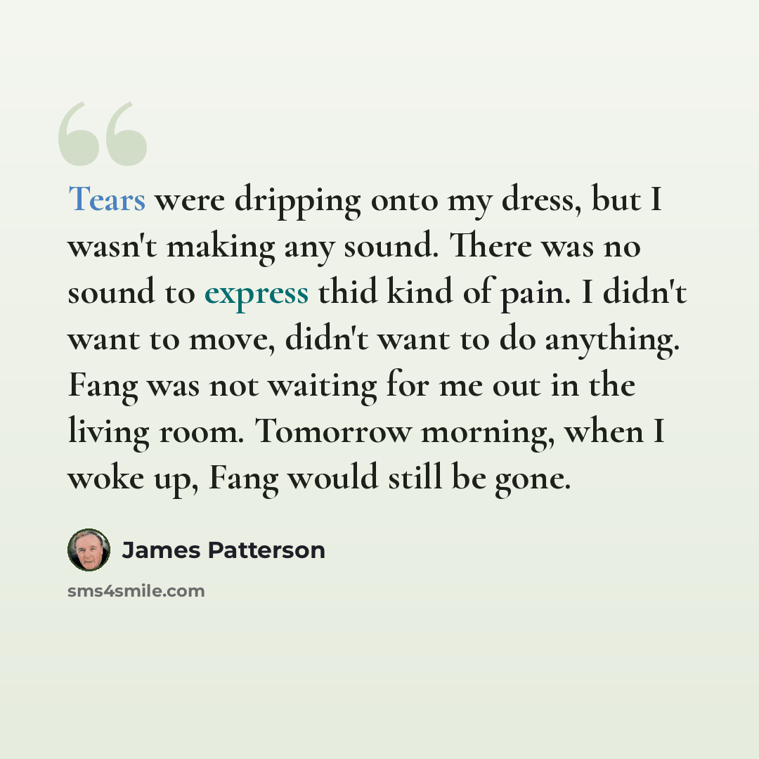 “Tears were dripping onto my dress, but I wasn't making any sound. There was no sound to express thid kind of pain. I didn't want to move, didn't want to do anything. Fang was not waiting for me out in the living room. Tomorrow morning, when I woke up, Fang would still be gone.” quote by James Patterson