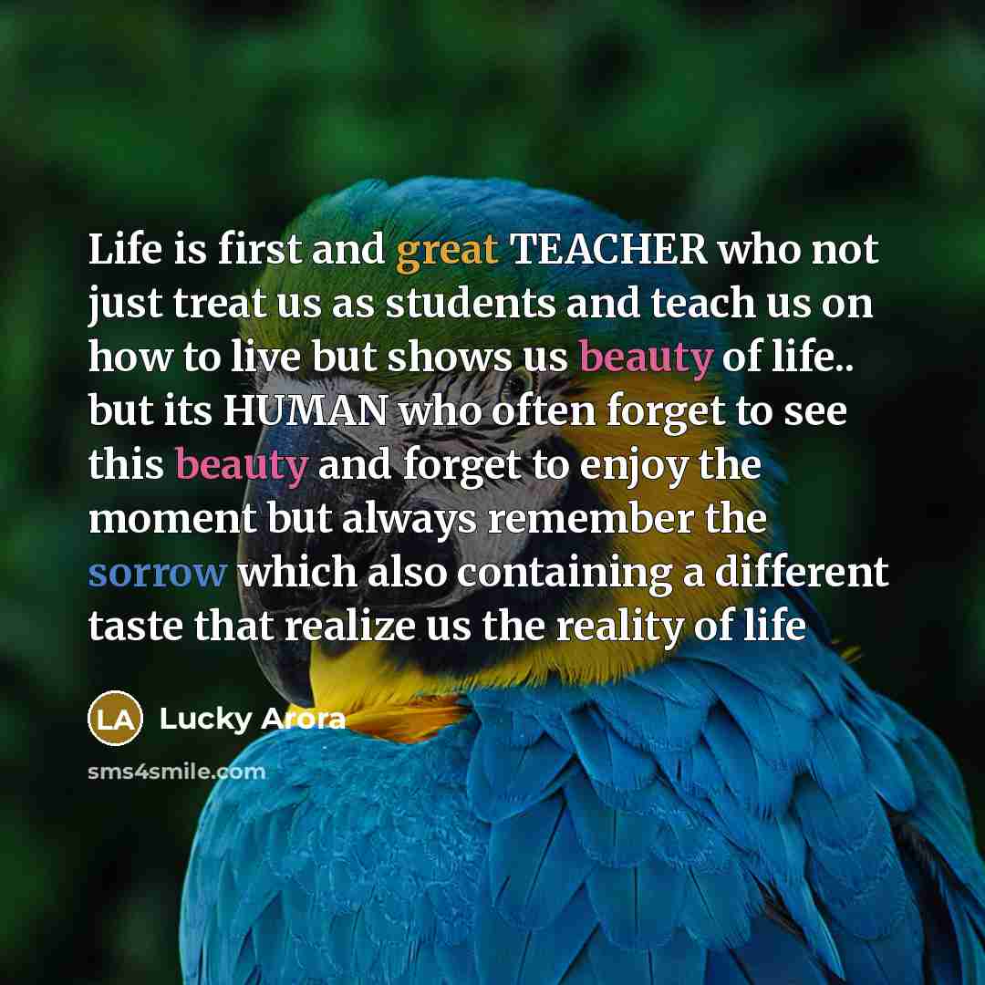 “Life is first and great TEACHER who not just treat us as students and teach us on how to live but shows us beauty of life.. but its HUMAN who often forget to see this beauty and forget to enjoy the moment but always remember the sorrow which also containing a different taste that realize us the…” quote by Lucky Arora