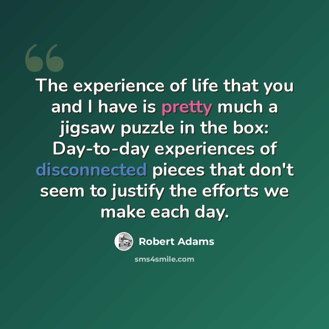 “The experience of life that you and I have is pretty much a jigsaw puzzle in the box: Day-to-day experiences of disconnected pieces that don't seem to justify the efforts we make each day.” quote by Robert Adams