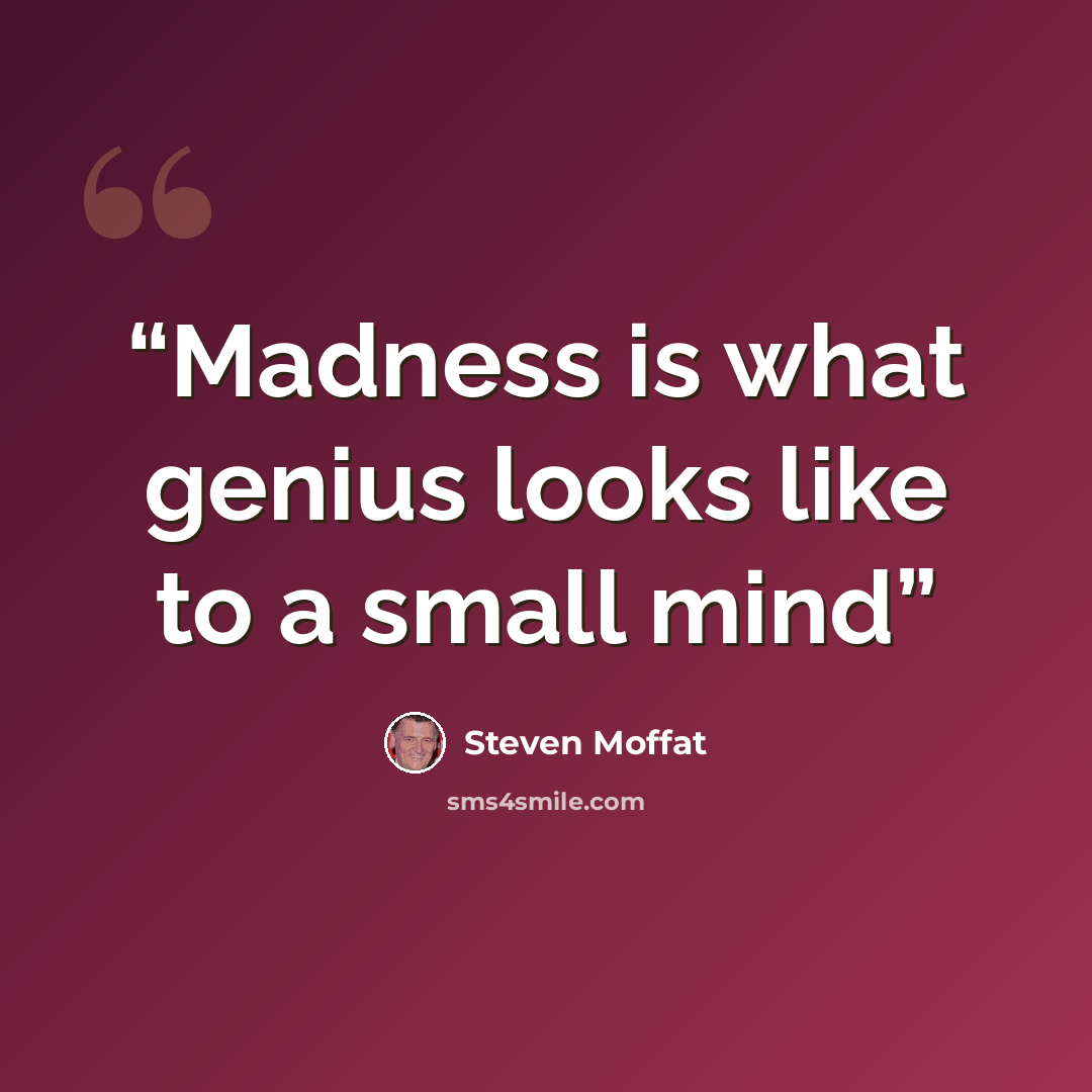 “Madness is what genius looks like to a small mind” quote by Steven Moffat