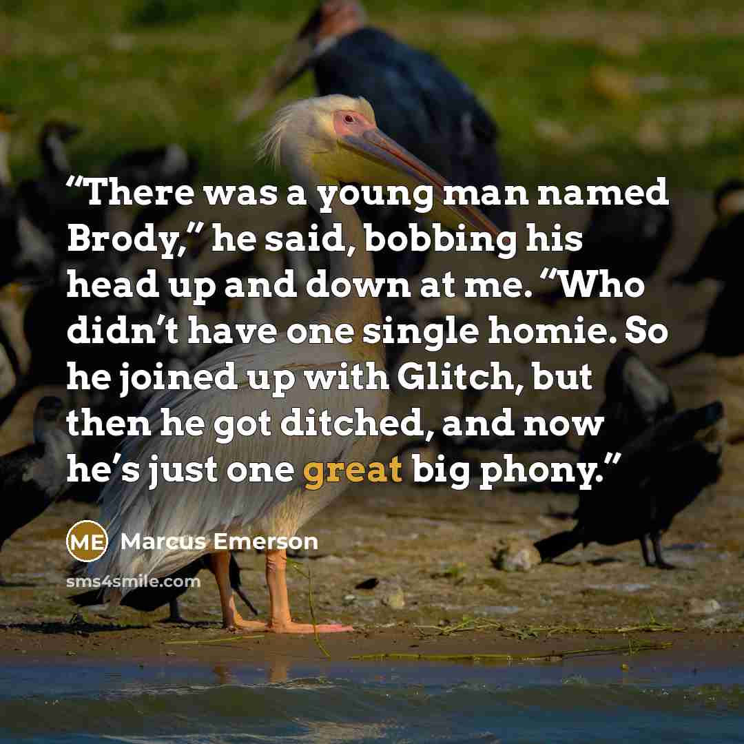 “There was a young man named Brody,” he said, bobbing his head up and down at me. “Who didn’t have one single homie. So he joined up with Glitch, but then he got ditched, and now he’s just one great big phony.” quote by Marcus Emerson