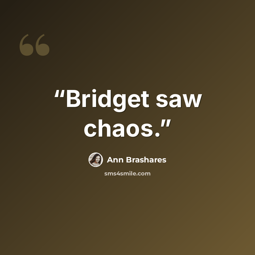 “Bridget saw chaos.” quote by Ann Brashares