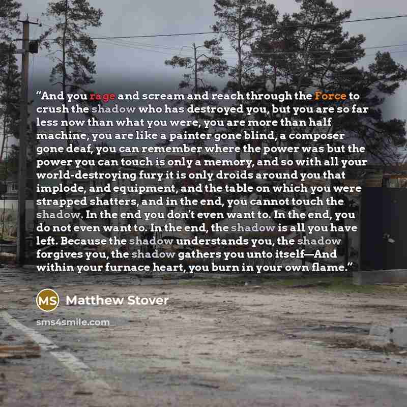“And you rage and scream and reach through the Force to crush the shadow who has destroyed you, but you are so far less now than what you were, you are more than half machine, you are like a painter gone blind, a composer gone deaf, you can remember where the power was but the power you can touch…” quote by Matthew Stover