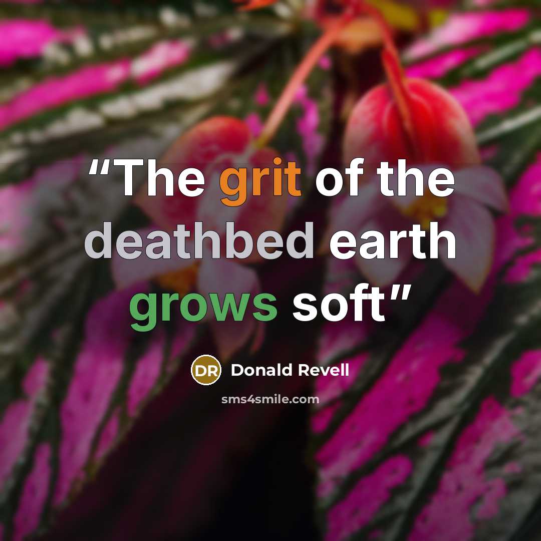“The grit of the deathbed earth grows soft” quote by Donald Revell
