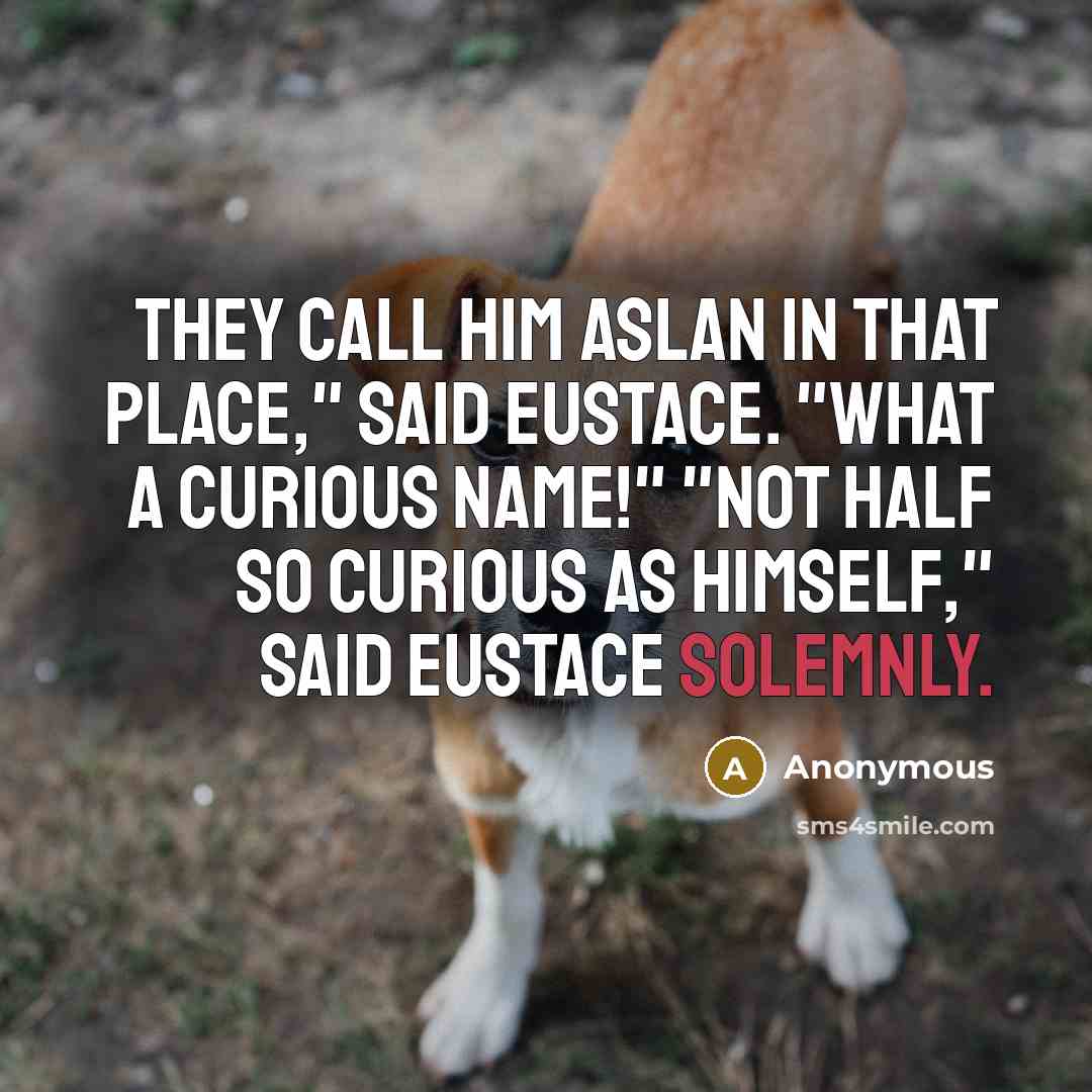 “They call him Aslan in That Place," said Eustace. "What a curious name!" "Not half so curious as himself," said Eustace solemnly.” quote by Anonymous