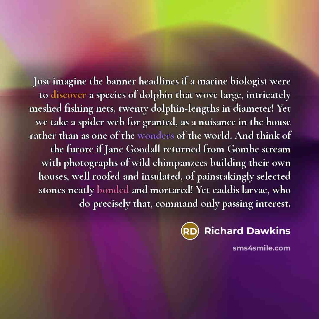 “Just imagine the banner headlines if a marine biologist were to discover a species of dolphin that wove large, intricately meshed fishing nets, twenty dolphin-lengths in diameter! Yet we take a spider web for granted, as a nuisance in the house rather than as one of the wonders of the world. And…” quote by Richard Dawkins