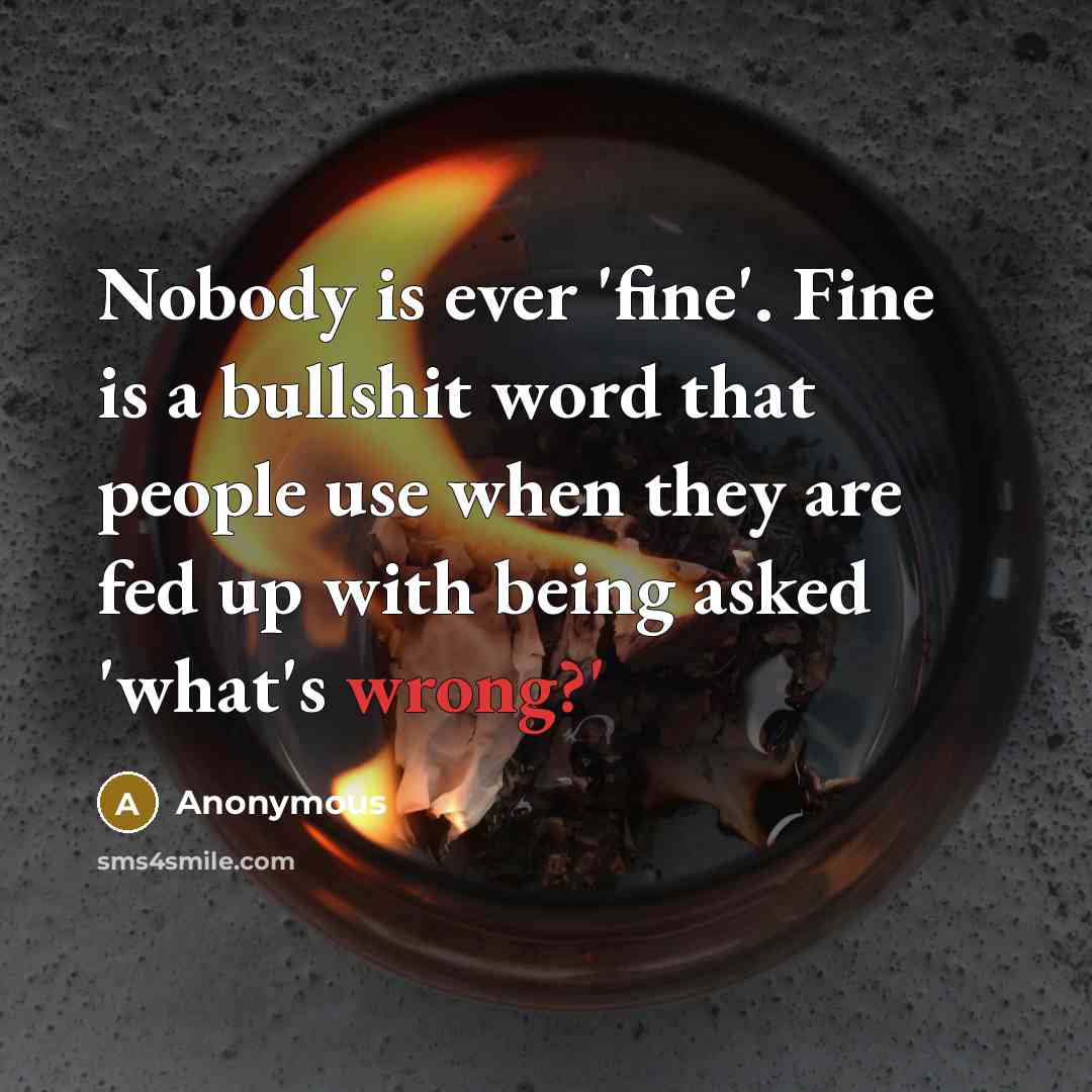 “Nobody is ever 'fine'. Fine is a bullshit word that people use when they are fed up with being asked 'what's wrong?'” quote by Anonymous