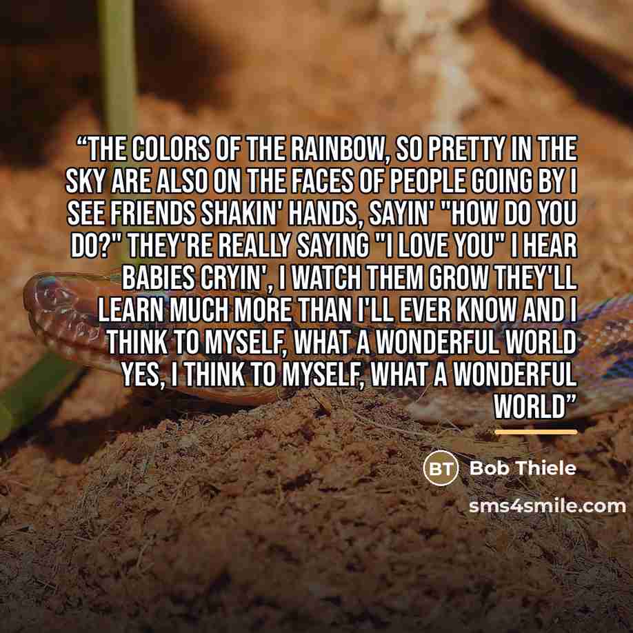 “The colors of the rainbow, so pretty in the sky Are also on the faces of people going by I see friends shakin' hands, sayin' "How do you do?" They're really saying "I love you" I hear babies cryin', I watch them grow They'll learn much more than I'll ever know And I think to myself, what a…” quote by Bob Thiele