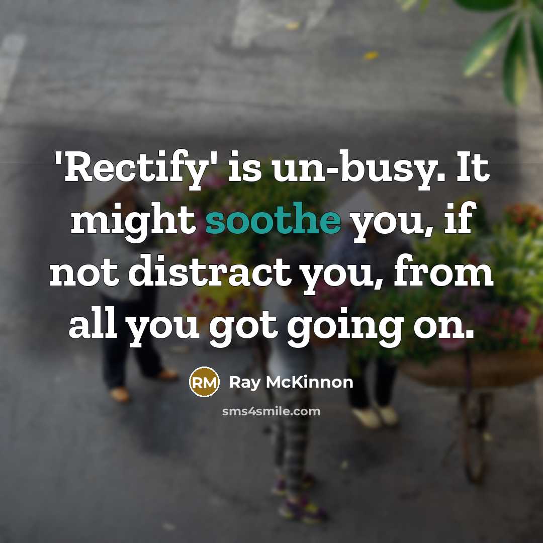 “'Rectify' is un-busy. It might soothe you, if not distract you, from all you got going on.” quote by Ray McKinnon