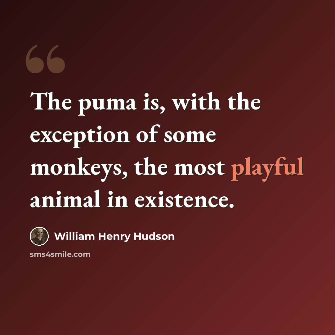 “The puma is, with the exception of some monkeys, the most playful animal in existence.” quote by William Henry Hudson