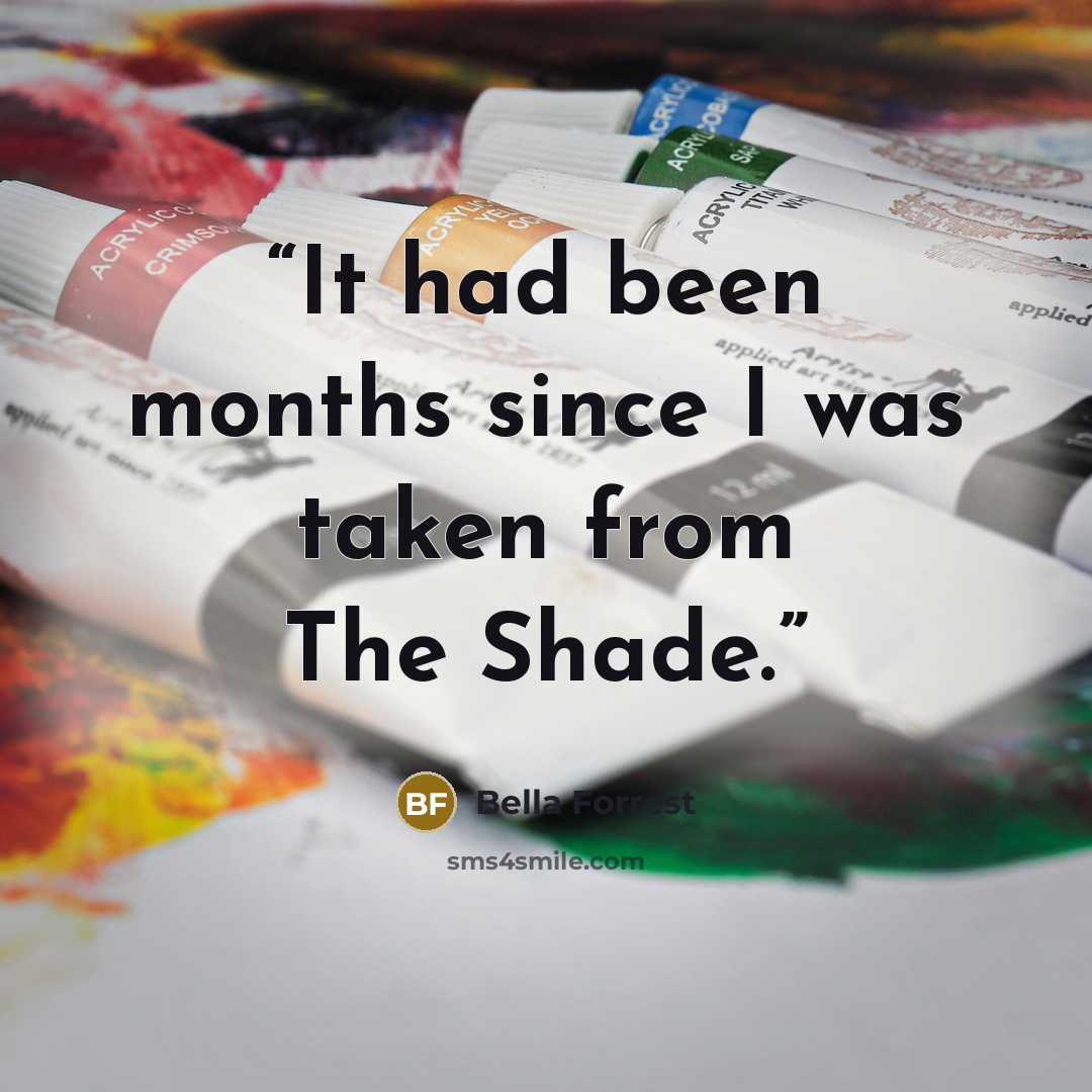 “It had been months since I was taken from The Shade.” quote by Bella Forrest