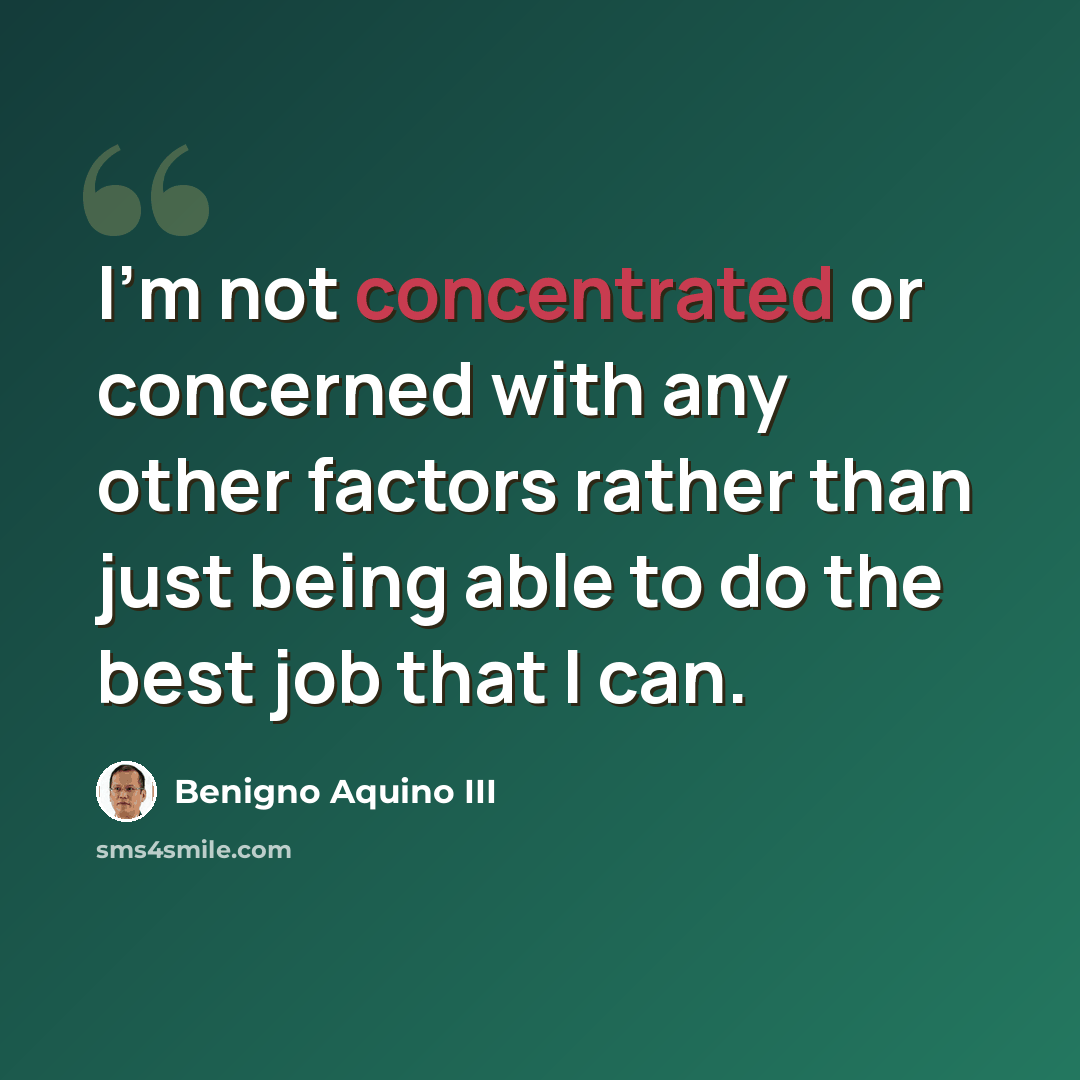 “I'm not concentrated or concerned with any other factors rather than just being able to do the best job that I can.” quote by Benigno Aquino III