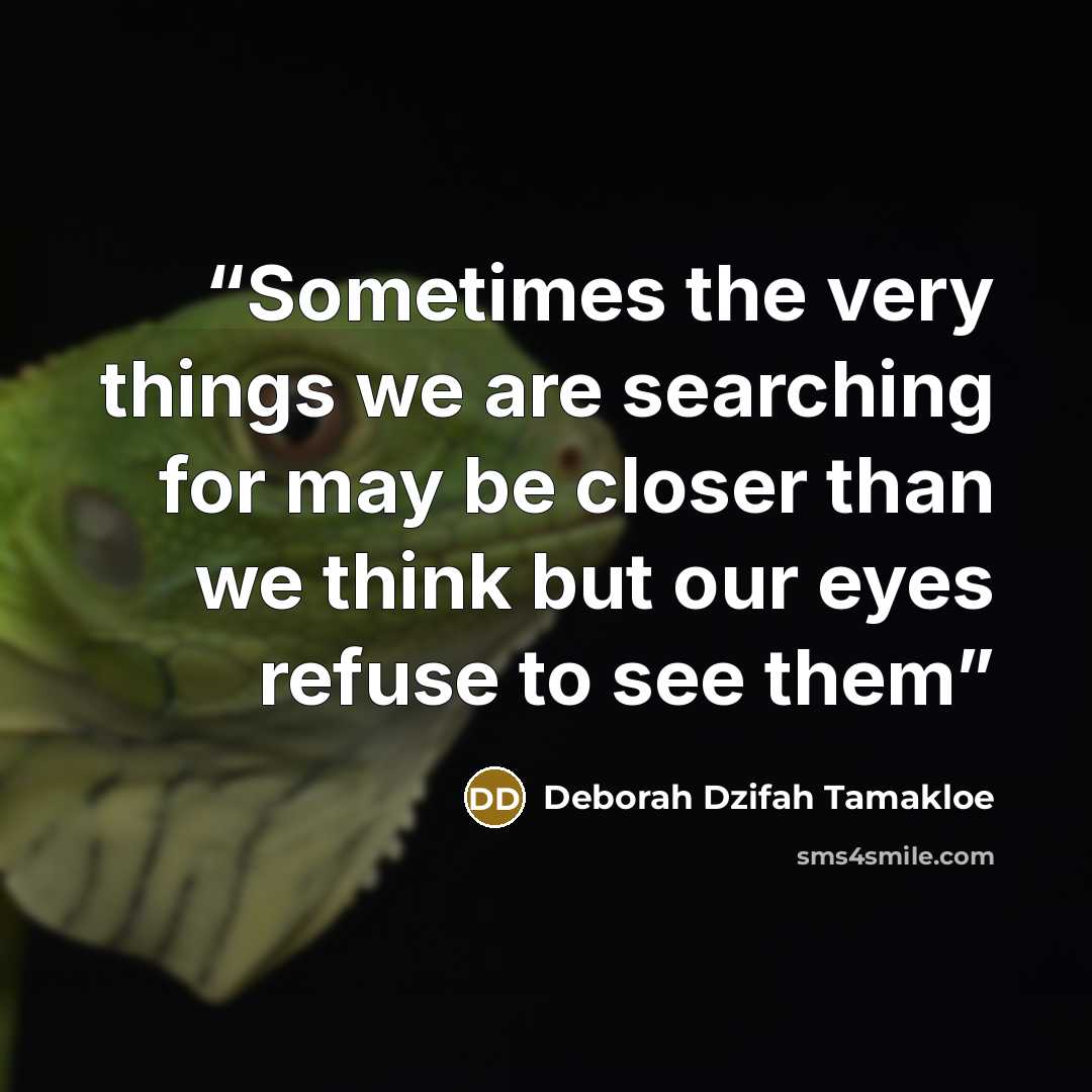 “Sometimes the very things we are searching for may be closer than we think but our eyes refuse to see them” quote by Deborah Dzifah Tamakloe