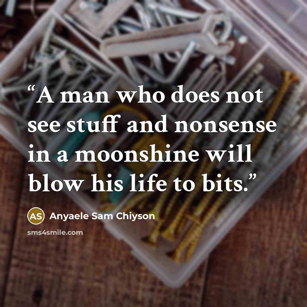 “A man who does not see stuff and nonsense in a moonshine will blow his life to bits.” quote by Anyaele Sam Chiyson