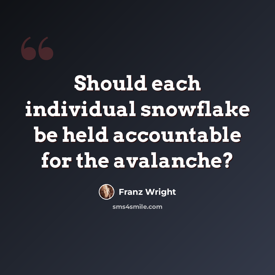 “Should each individual snowflake be held accountable for the avalanche?” quote by Franz Wright