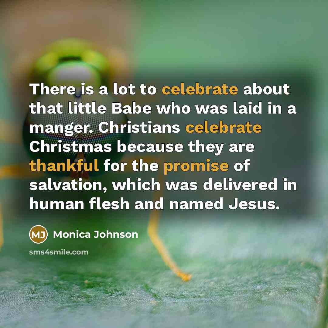 “There is a lot to celebrate about that little Babe who was laid in a manger. Christians celebrate Christmas because they are thankful for the promise of salvation, which was delivered in human flesh and named Jesus.” quote by Monica Johnson