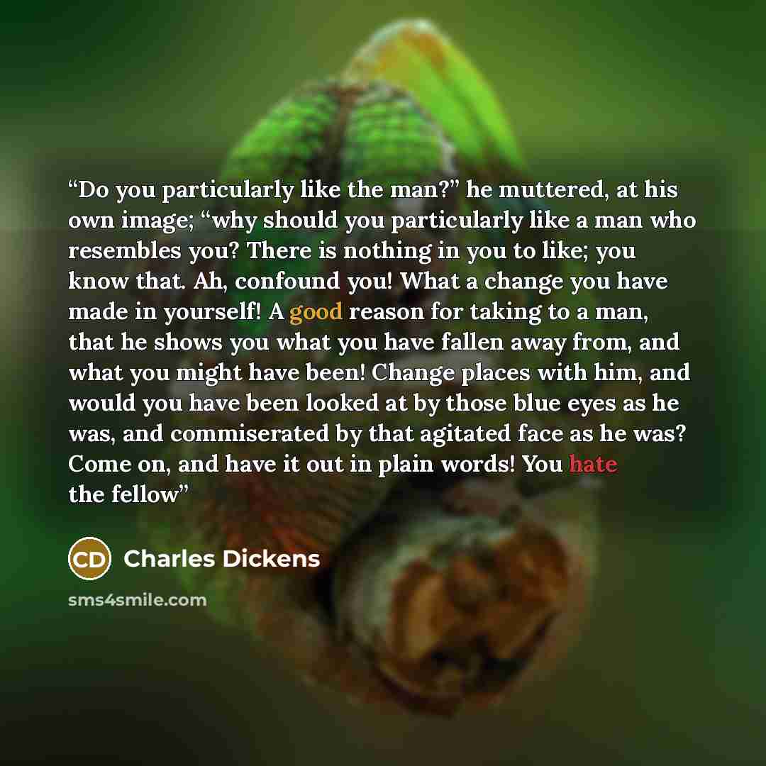 “Do you particularly like the man?” he muttered, at his own image; “why should you particularly like a man who resembles you? There is nothing in you to like; you know that. Ah, confound you! What a change you have made in yourself! A good reason for taking to a man, that he shows you what you have…” quote by Charles Dickens