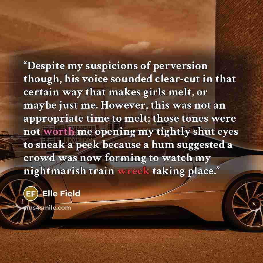 “Despite my suspicions of perversion though, his voice sounded clear-cut in that certain way that makes girls melt, or maybe just me. However, this was not an appropriate time to melt; those tones were not worth me opening my tightly shut eyes to sneak a peek because a hum suggested a crowd was now…” quote by Elle Field
