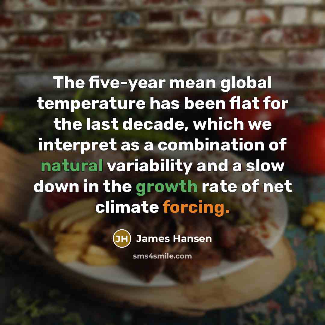 “The five-year mean global temperature has been flat for the last decade, which we interpret as a combination of natural variability and a slow down in the growth rate of net climate forcing.” quote by James Hansen