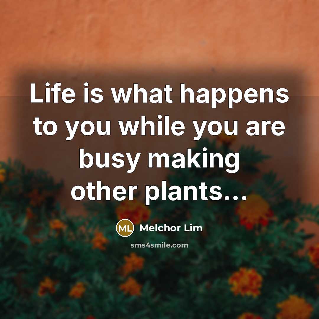 “Life is what happens to you while you are busy making other plants…” quote by Melchor Lim