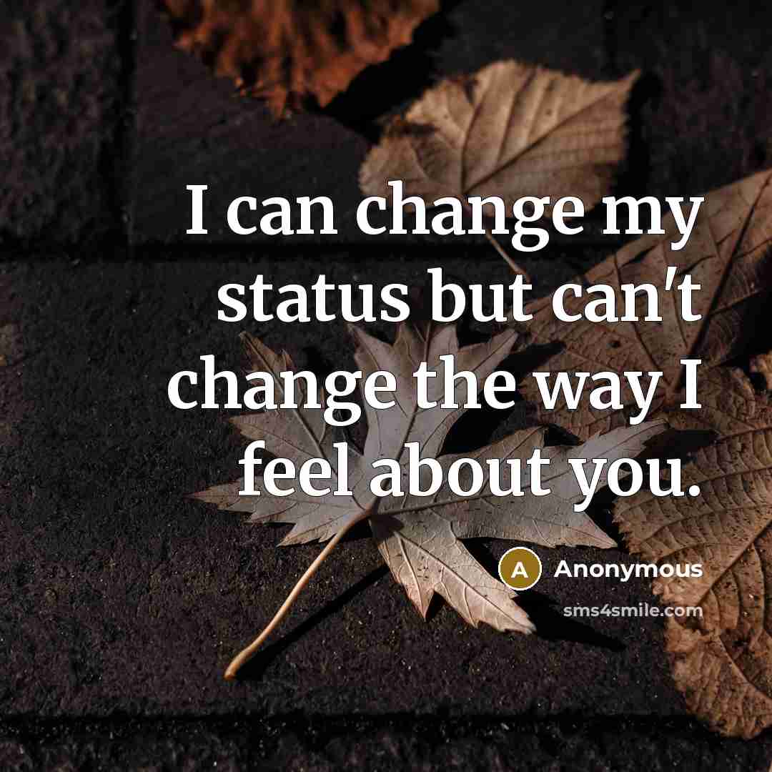 “I can change my status but can't change the way I feel about you.” quote by Anonymous