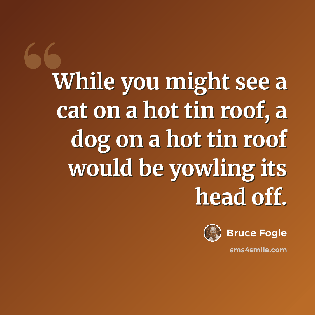 “While you might see a cat on a hot tin roof, a dog on a hot tin roof would be yowling its head off.” quote by Bruce Fogle