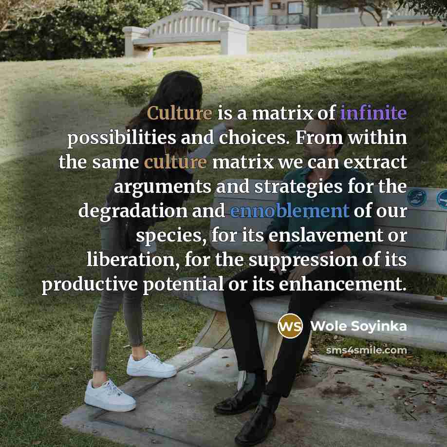 “Culture is a matrix of infinite possibilities and choices. From within the same culture matrix we can extract arguments and strategies for the degradation and ennoblement of our species, for its enslavement or liberation, for the suppression of its productive potential or its enhancement.” quote by Wole Soyinka