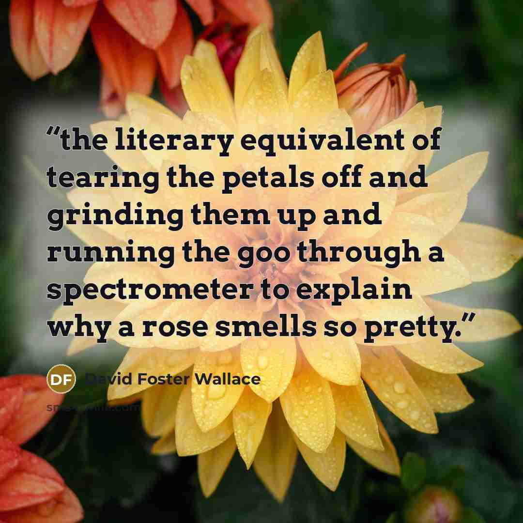 “the literary equivalent of tearing the petals off and grinding them up and running the goo through a spectrometer to explain why a rose smells so pretty.” quote by David Foster Wallace