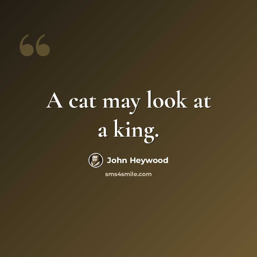 “A cat may look at a king.” quote by John Heywood