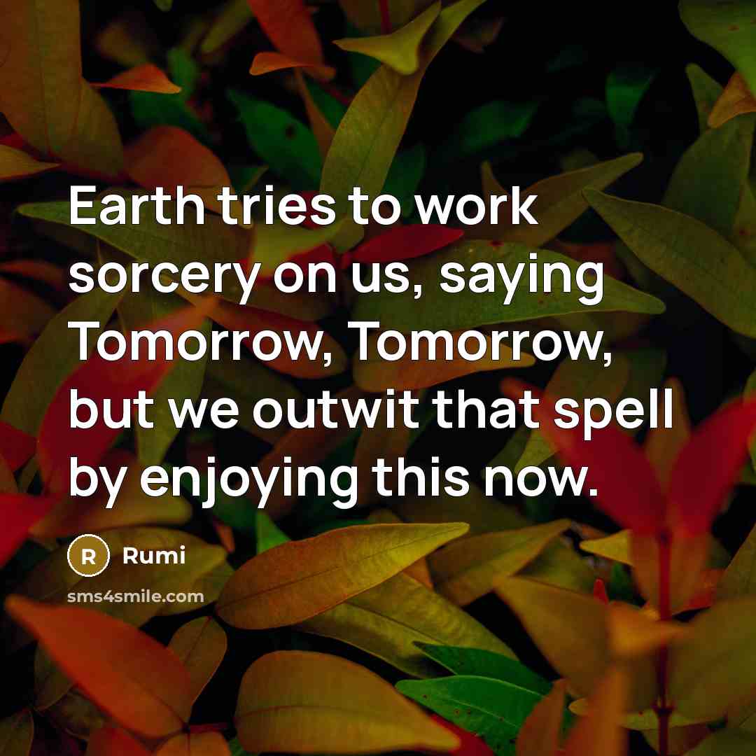 “Earth tries to work sorcery on us, saying Tomorrow, Tomorrow, but we outwit that spell by enjoying this now.” quote by Rumi