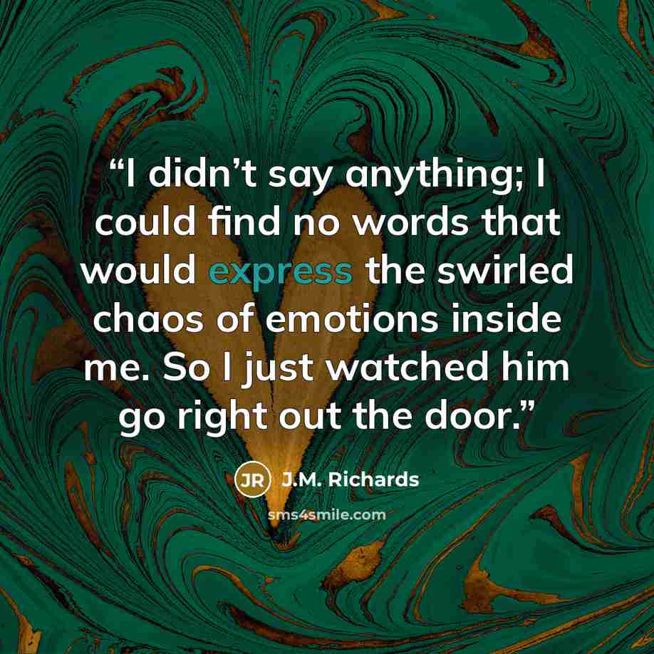 “I didn’t say anything; I could find no words that would express the swirled chaos of emotions inside me. So I just watched him go right out the door.” quote by J.M. Richards