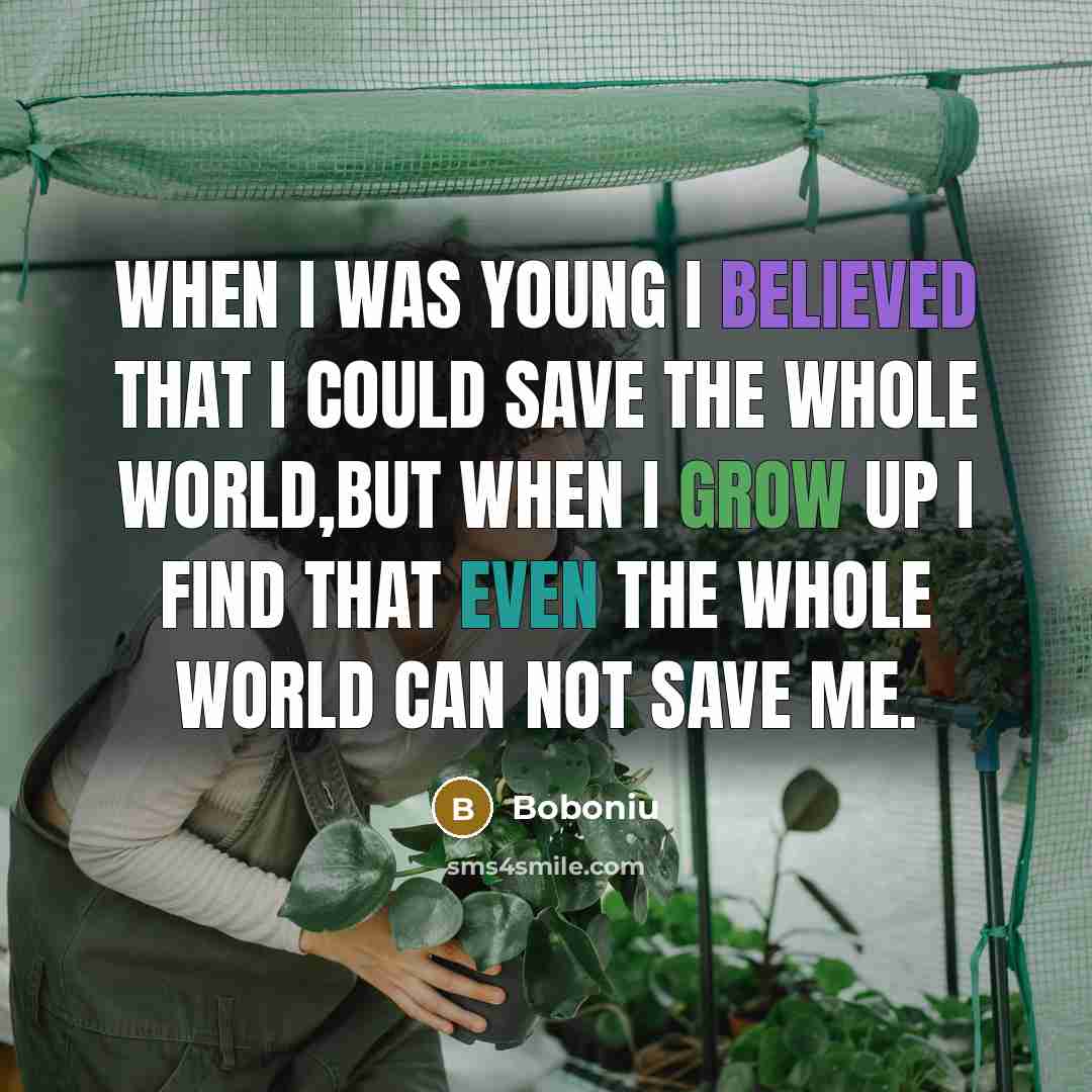 “When I was young I believed that I could save the whole world,but when I grow up I find that even the whole world can not save me.” quote by Boboniu