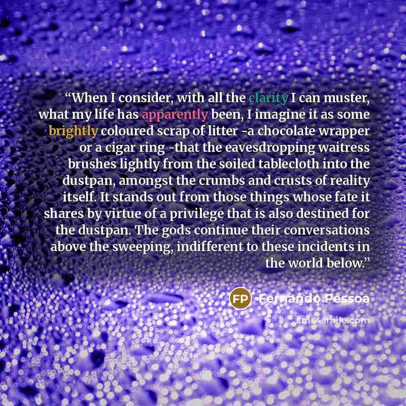 “When I consider, with all the clarity I can muster, what my life has apparently been, I imagine it as some brightly coloured scrap of litter -a chocolate wrapper or a cigar ring -that the eavesdropping waitress brushes lightly from the soiled tablecloth into the dustpan, amongst the crumbs and…” quote by Fernando Pessoa