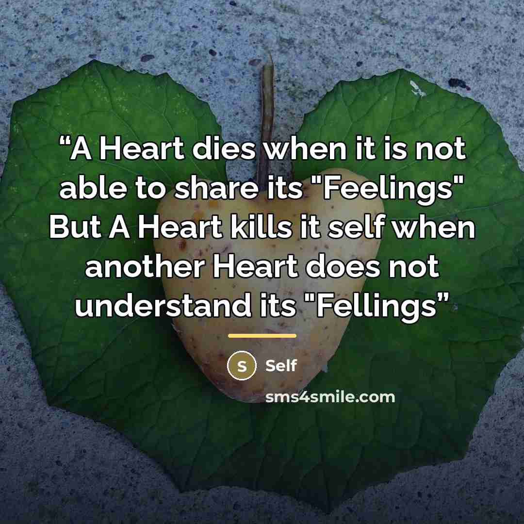 “A Heart dies when it is not able to share its "Feelings" But A Heart kills it self when another Heart does not understand its "Fellings” quote by Self