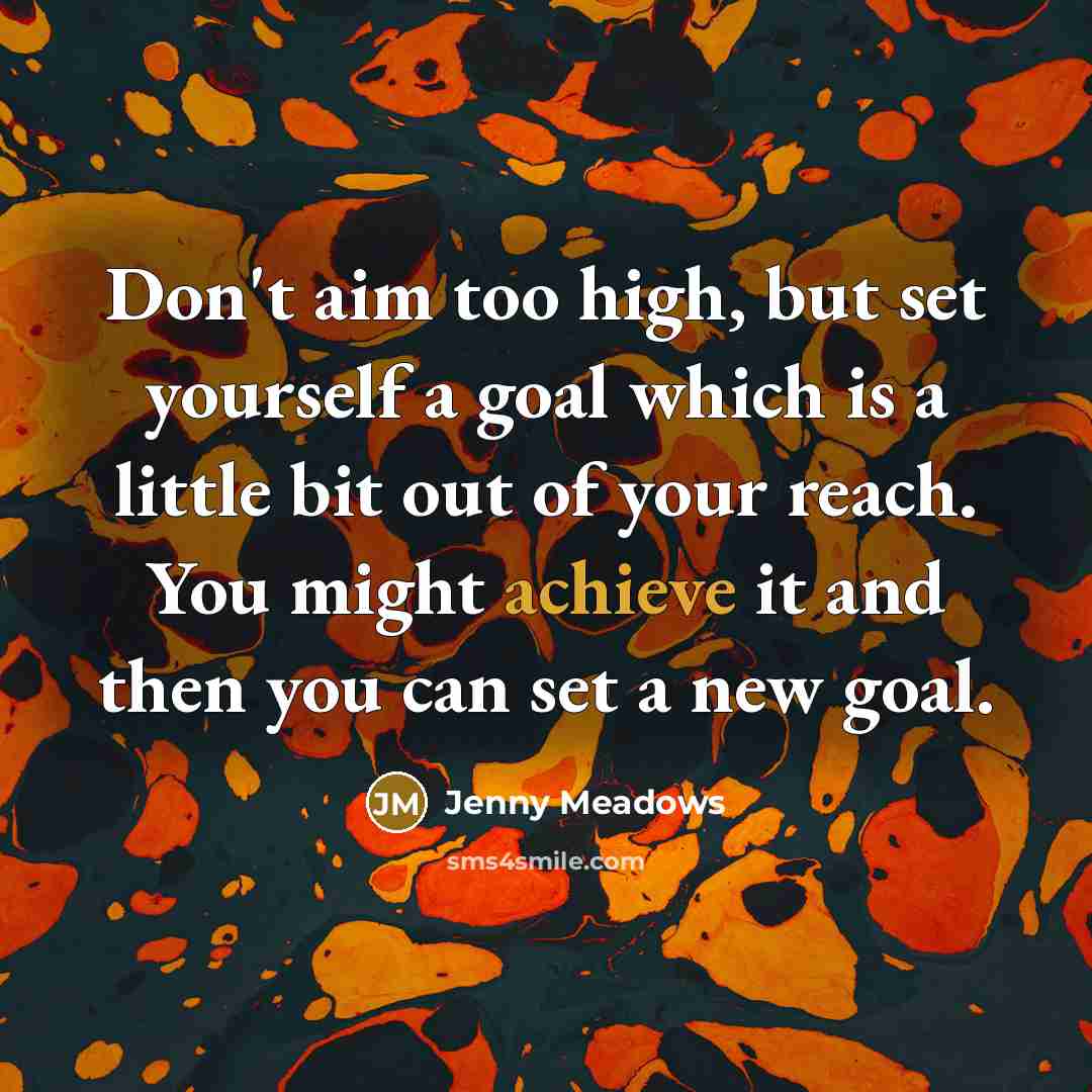 “Don't aim too high, but set yourself a goal which is a little bit out of your reach. You might achieve it and then you can set a new goal.” quote by Jenny Meadows