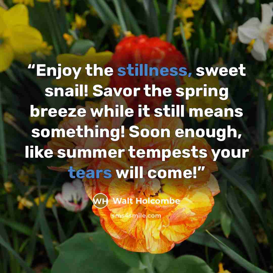 “Enjoy the stillness, sweet snail! Savor the spring breeze while it still means something! Soon enough, like summer tempests your tears will come!” quote by Walt Holcombe