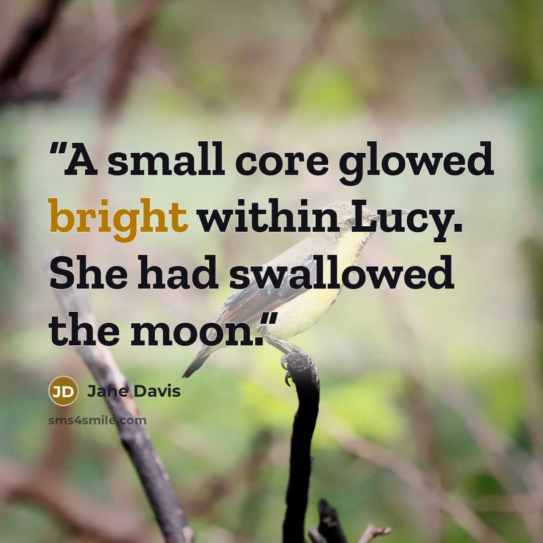 “A small core glowed bright within Lucy. She had swallowed the moon.” quote by Jane Davis