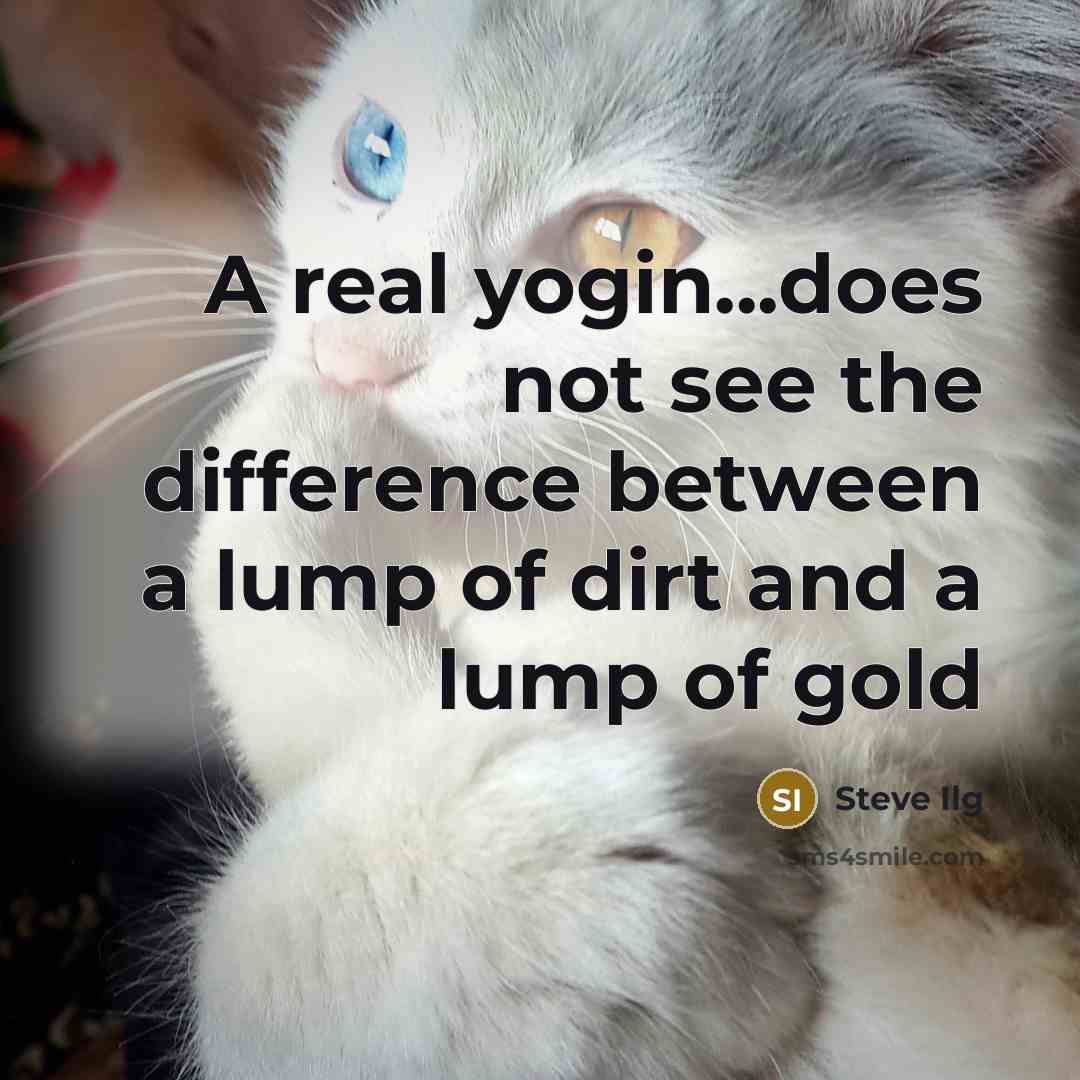 “A real yogin...does not see the difference between a lump of dirt and a lump of gold” quote by Steve Ilg