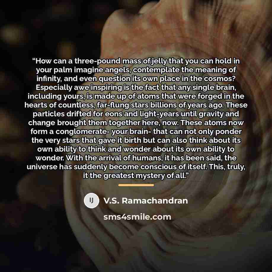 “How can a three-pound mass of jelly that you can hold in your palm imagine angels, contemplate the meaning of infinity, and even question its own place in the cosmos? Especially awe inspiring is the fact that any single brain, including yours, is made up of atoms that were forged in the hearts of…” quote by V.S. Ramachandran