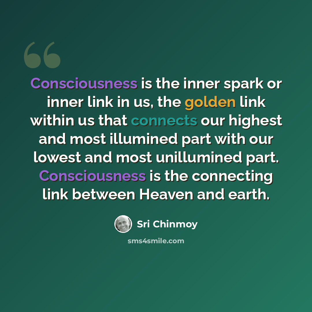 “Consciousness is the inner spark or inner link in us, the golden link within us that connects our highest and most illumined part with our lowest and most unillumined part. Consciousness is the connecting link between Heaven and earth.” quote by Sri Chinmoy