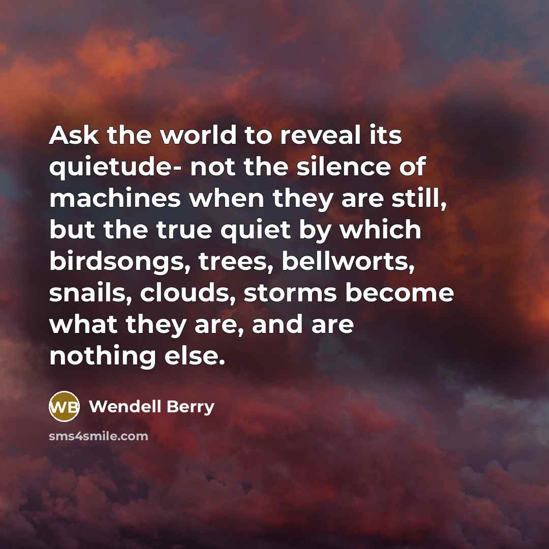 “Ask the world to reveal its quietude- not the silence of machines when they are still, but the true quiet by which birdsongs, trees, bellworts, snails, clouds, storms become what they are, and are nothing else.” quote by Wendell Berry