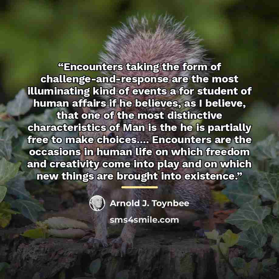 “Encounters taking the form of challenge-and-response are the most illuminating kind of events a for student of human affairs if he believes, as I believe, that one of the most distinctive characteristics of Man is the he is partially free to make choices… Encounters are the occasions in human life…” quote by Arnold J. Toynbee