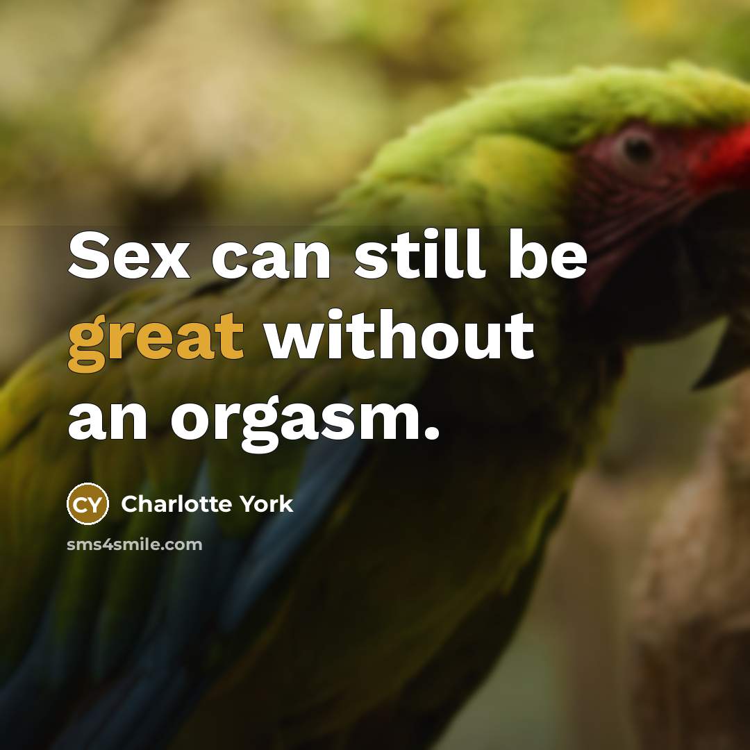 “Sex can still be great without an orgasm.” quote by Charlotte York