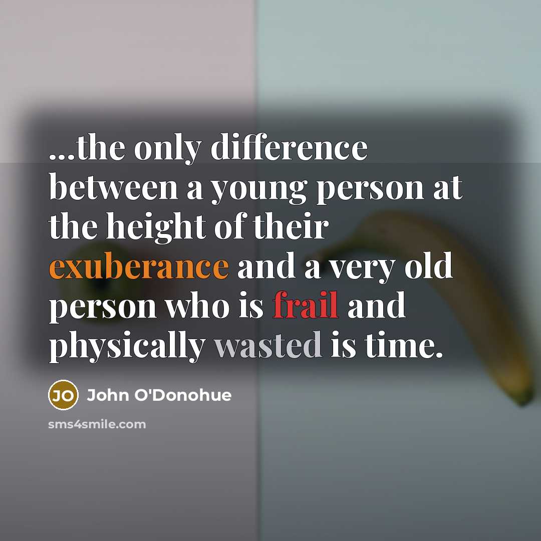 “...the only difference between a young person at the height of their exuberance and a very old person who is frail and physically wasted is time.” quote by John O'Donohue