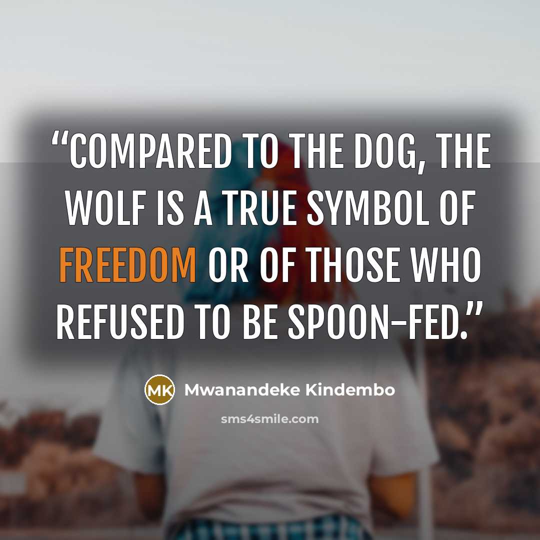 “Compared to the dog, the wolf is a true symbol of freedom or of those who refused to be spoon-fed.” quote by Mwanandeke Kindembo
